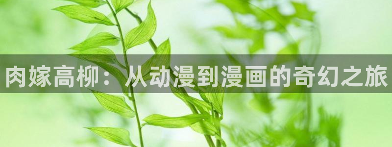 91动漫免费版怎样下载