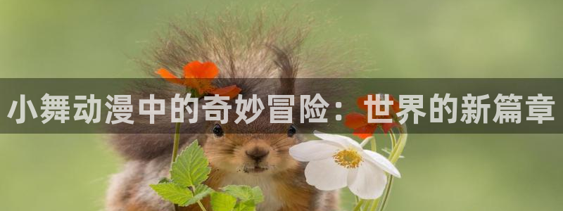 91动漫网站永久入口